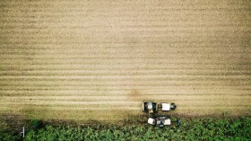 aerial photo of farm