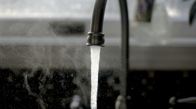 Water Parasite Outbreak: UK Health Authorities on High Alert After Detecting Cryptosporidium Parasite in Devon