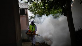 Chikungunya Disease: European Commission Approves Dissemination of World’s First Chikungunya Vaccine ‘IXCHIQ’ Against the Mosquito-Borne Disease 