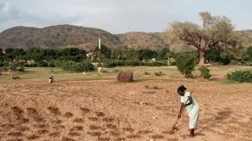 SUDAN-CONFLICT-AGRICULTURE-WATER