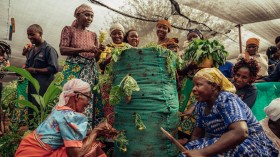 Gender Equity in Job Creation and Economic Opportunity as Pillars of Sustainability: Wildlife Works' Kasigau Corridor Approach