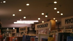 What Is a Bridging Course in Psychology?